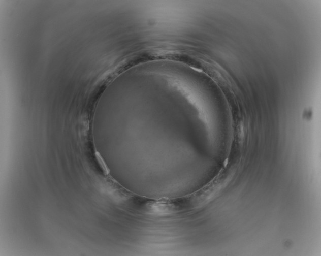 X0000091010372200708162003