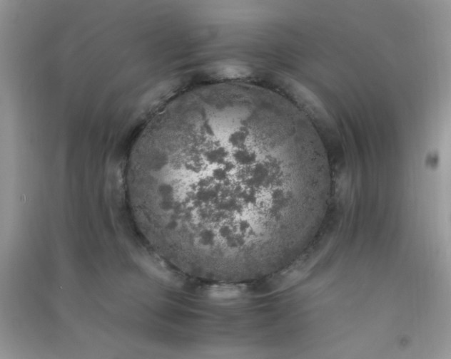 X0000091010373200708162003