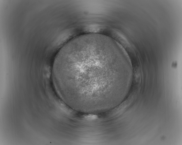 X0000091010374200708162003