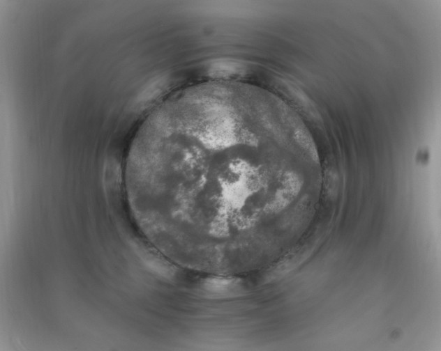 X0000091010375200708162003