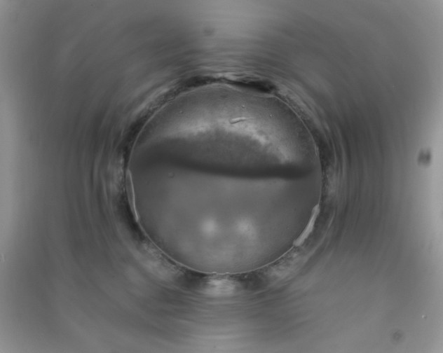 X0000091010376200708162003