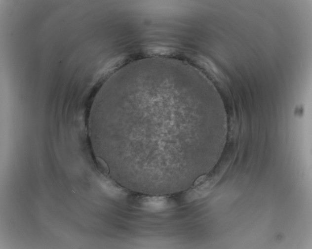 X0000091010377200708162003