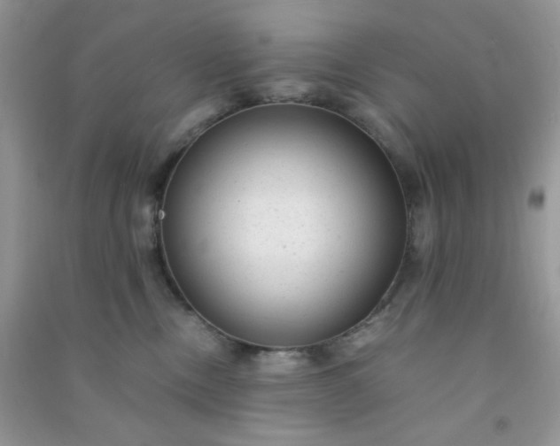 X0000091010378200708162003