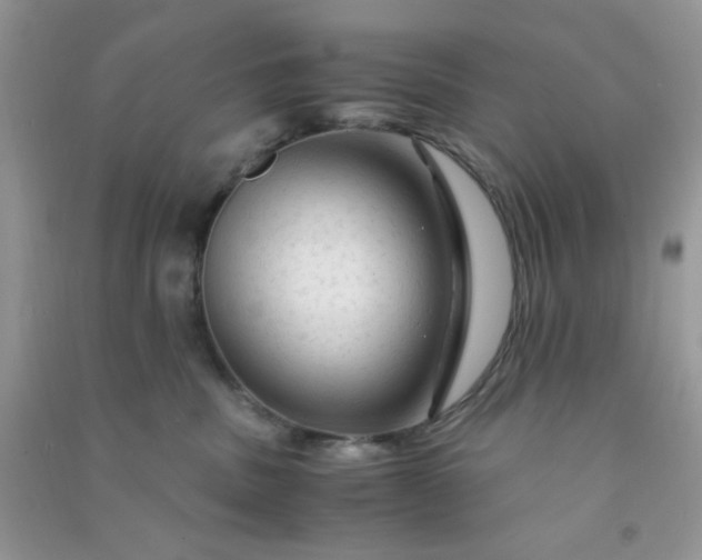 X0000091010379200708162003