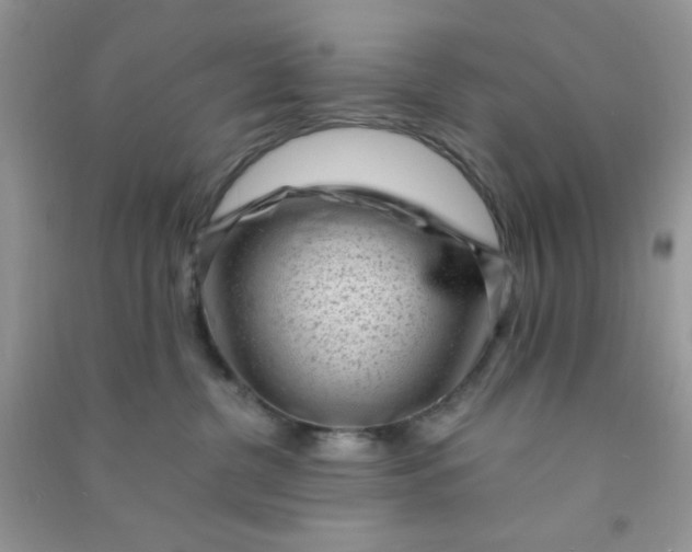 X0000091010380200708162003