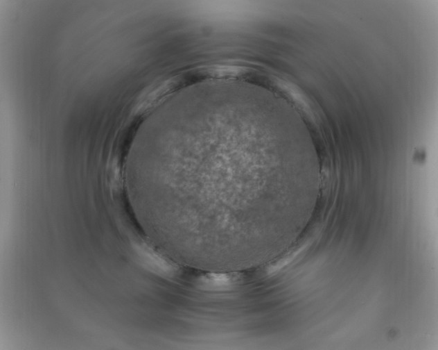 X0000091010381200708162003