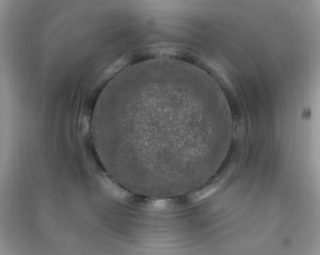 X0000091010382200708162003