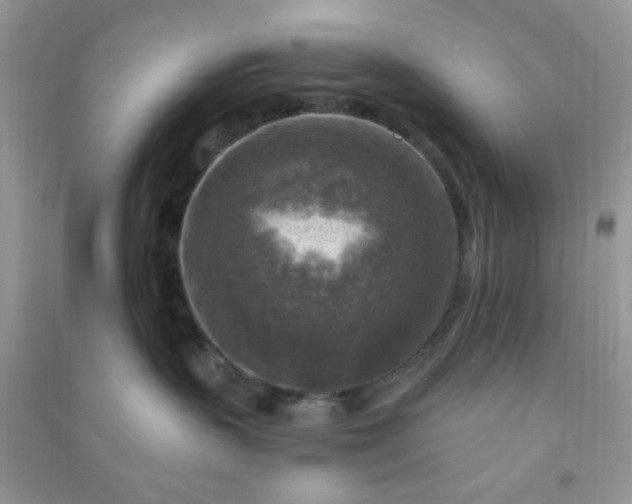 X0000091010383200708162003