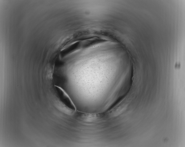 X0000091010384200708162003