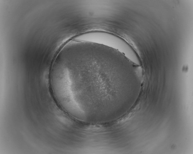 X0000091010386200708162003