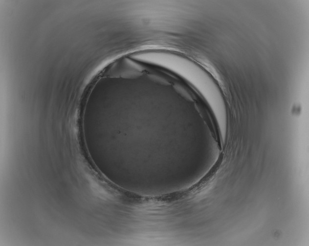 X0000091010387200708162003