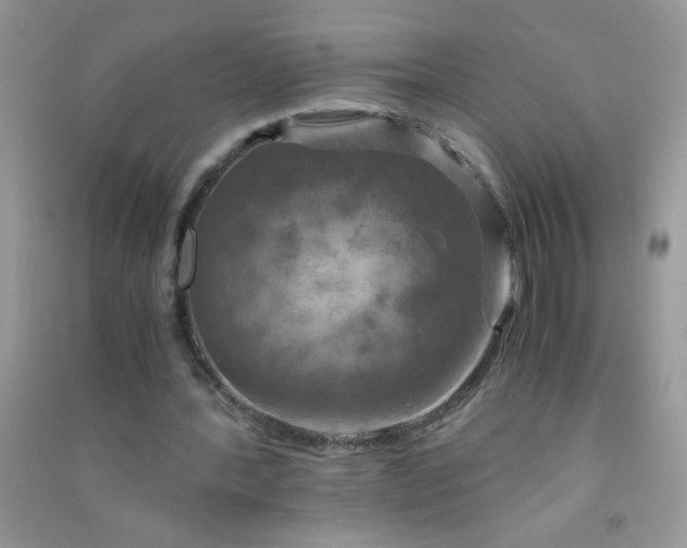 X0000091010388200708162003