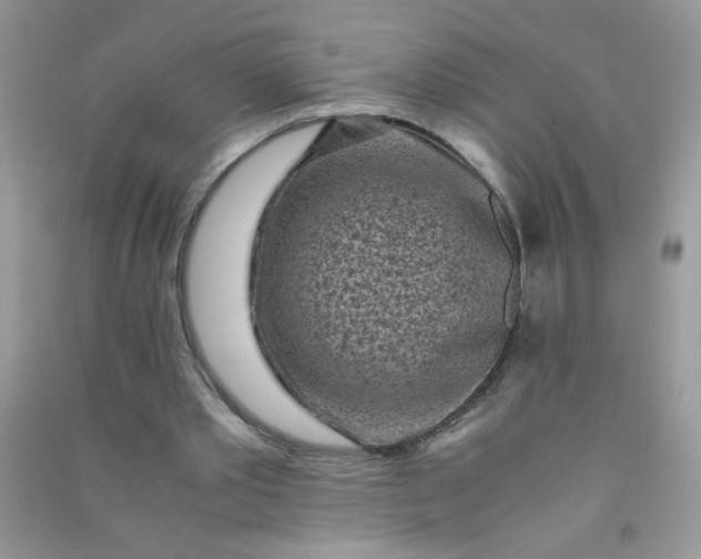 X0000091010389200708162003