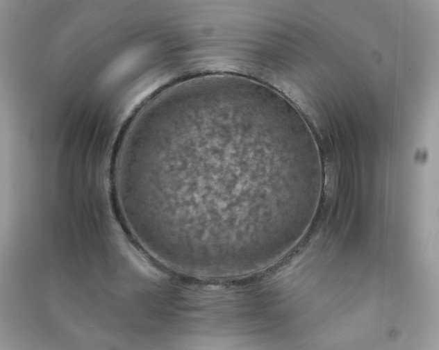 X0000091010390200708162003