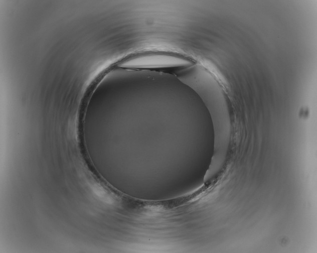 X0000091010391200708162003