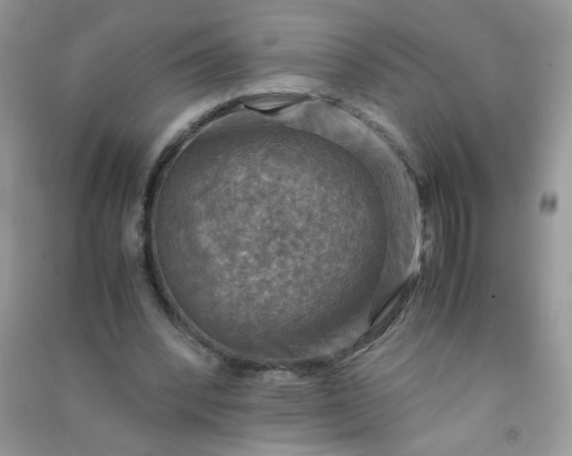 X0000091010392200708162002