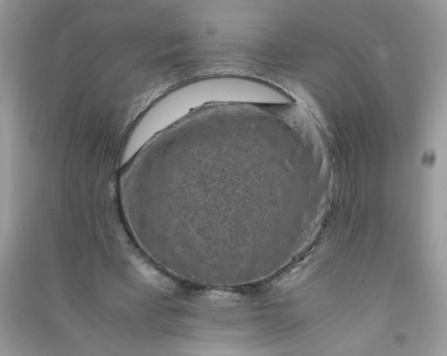 X0000091010393200708162002