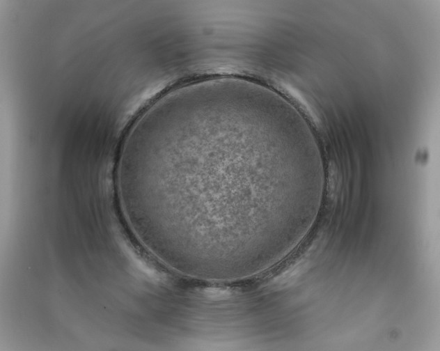 X0000091010394200708162002