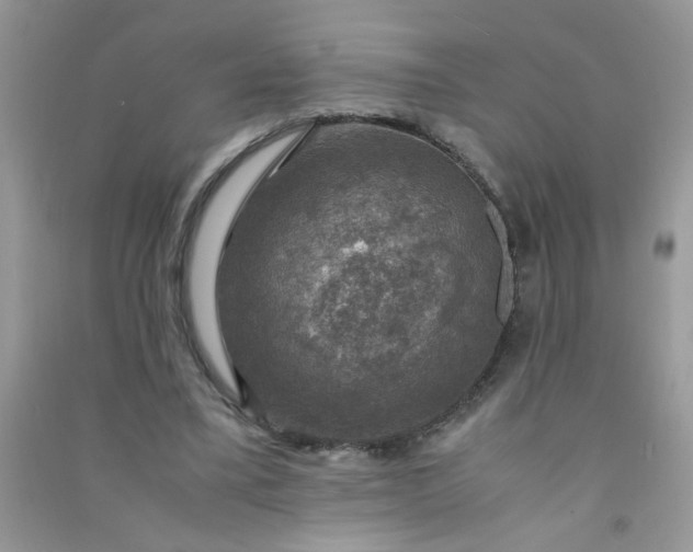 X0000091010395200708162002