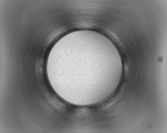 X0000091010396200708162002