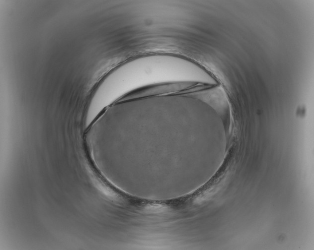 X0000091010397200708162002