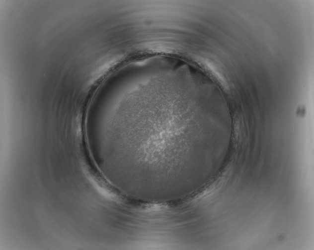 X0000091010398200708162002