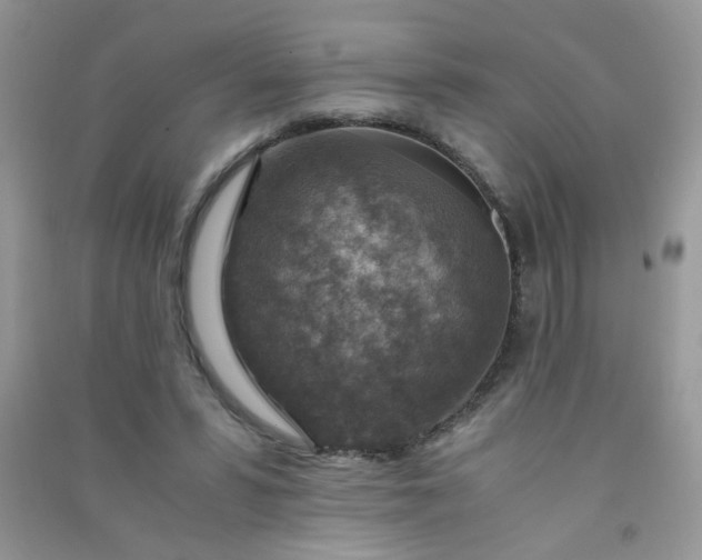 X0000091010399200708162002