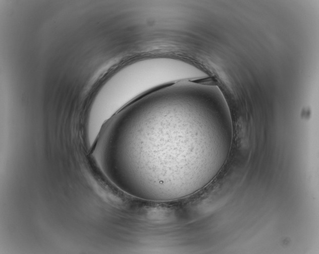 X0000091010400200708162002