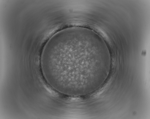 X0000091010401200708162002