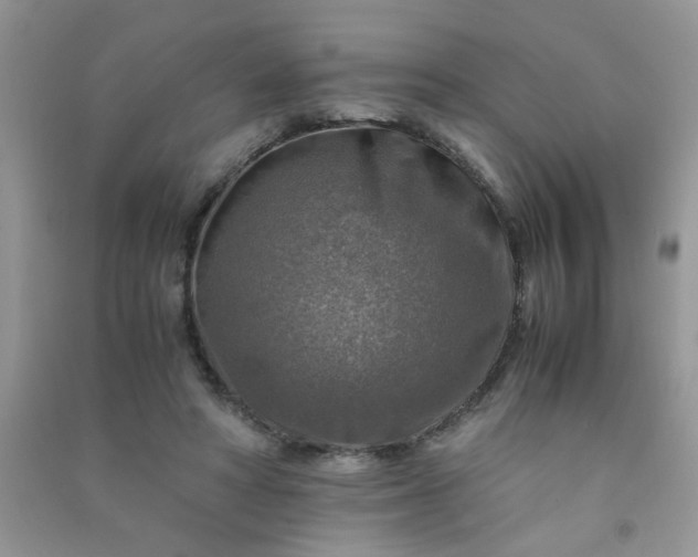 X0000091010402200708162002