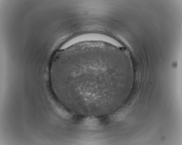 X0000091010403200708162002