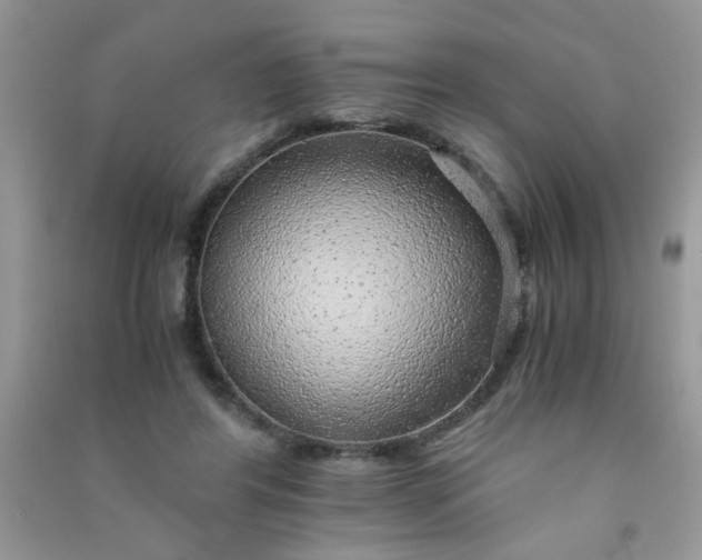 X0000091010404200708162002