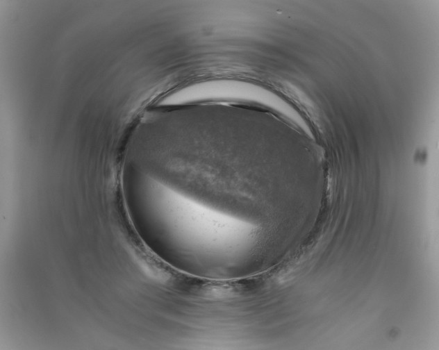 X0000091010405200708162002