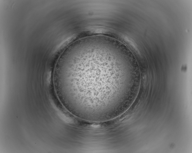 X0000091010406200708162002