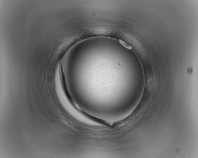 X0000091010407200708162002