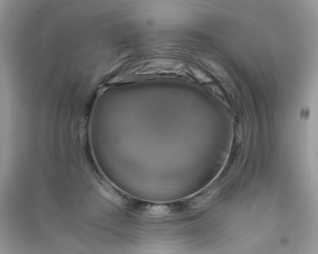 X0000091010409200708162002