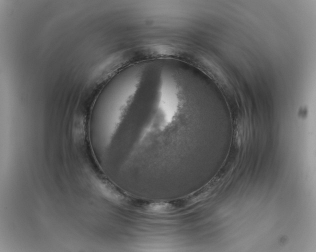 X0000091010410200708162002