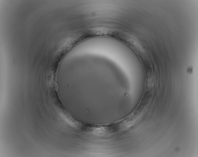 X0000091010411200708162002