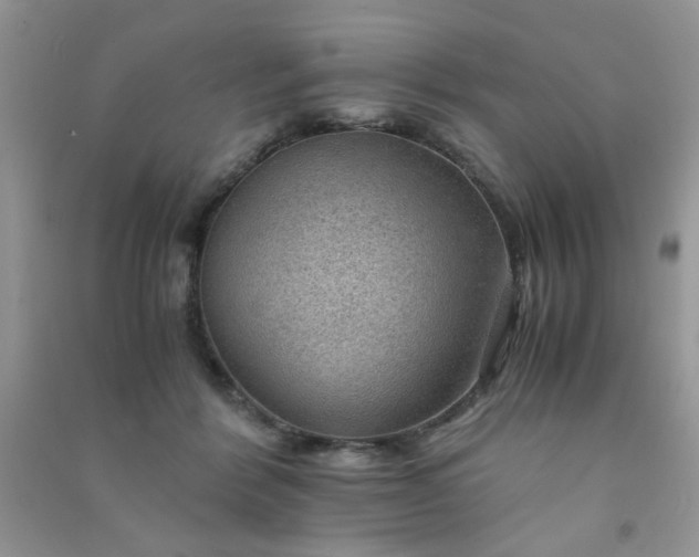 X0000091010412200708162002