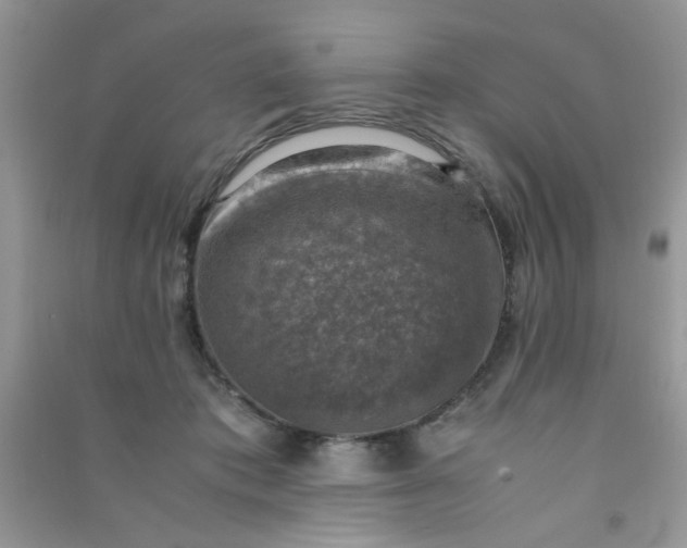 X0000091010413200708162002