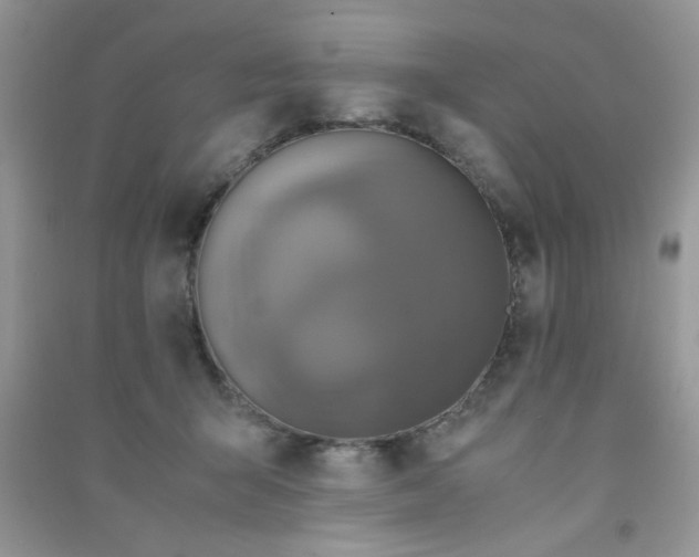 X0000091010415200708162002