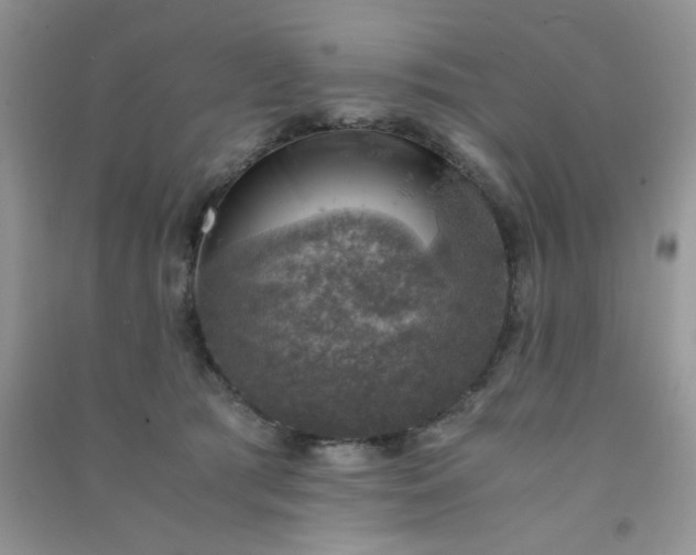 X0000091010417200708162002