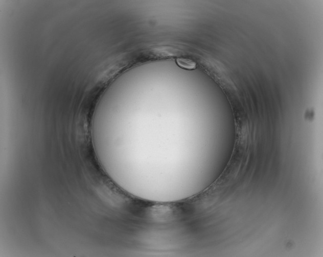 X0000091010418200708162002