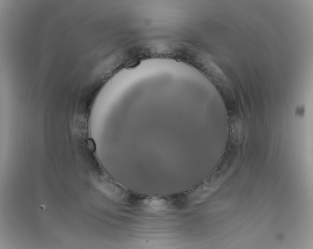 X0000091010419200708162002