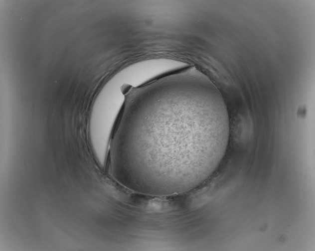 X0000091010420200708162002