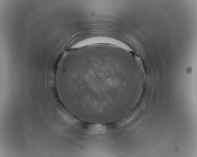 X0000091010421200708162002