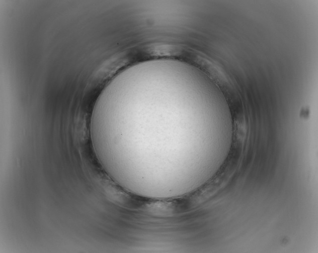 X0000091010422200708162002