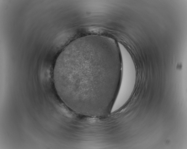 X0000091010424200708162002