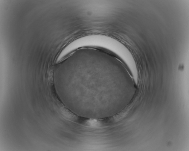 X0000091010425200708162002