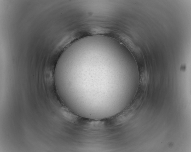 X0000091010426200708162002